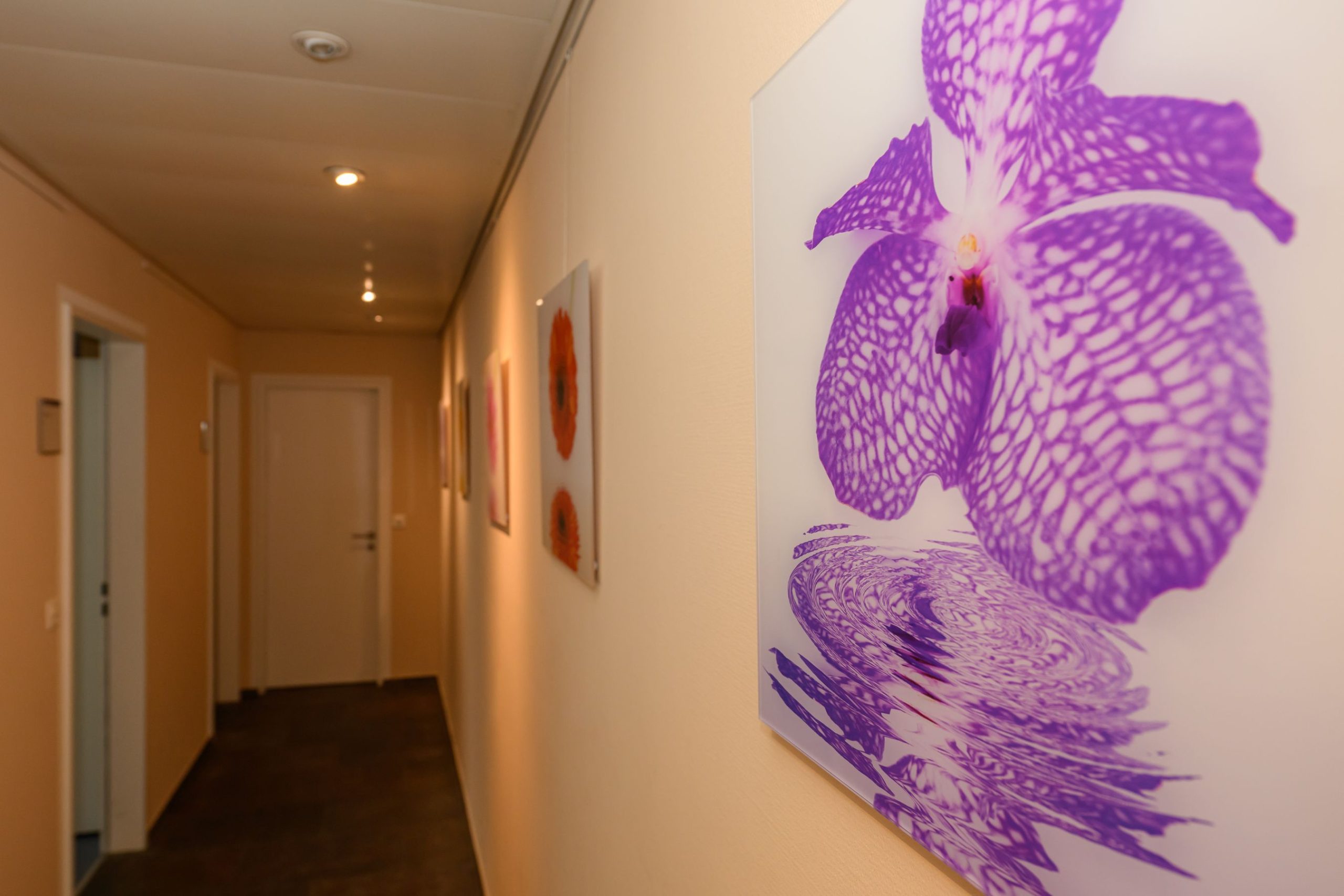 02_RSZ_7992.jpg3.34 MiB