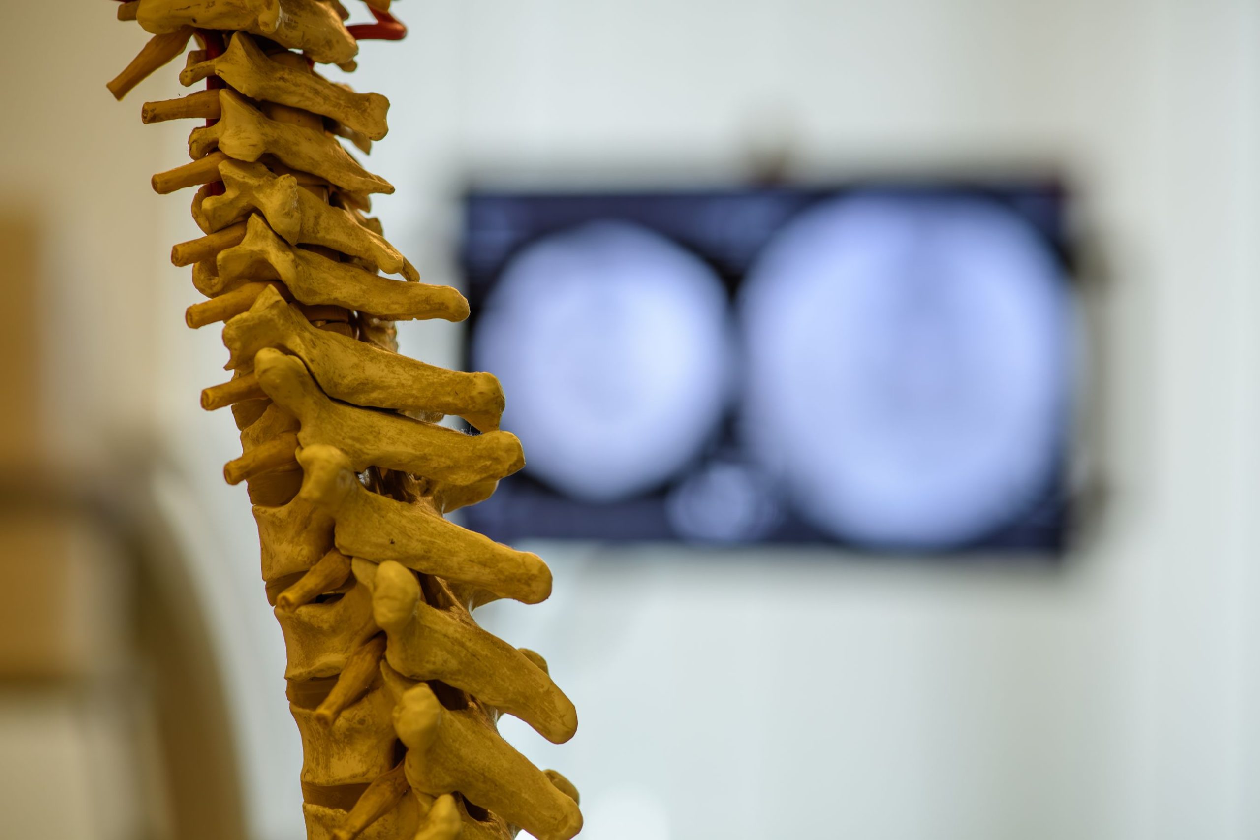 08_DSC_1920-Verbessert-RR.jpg1.88 MiB